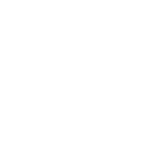 Level One